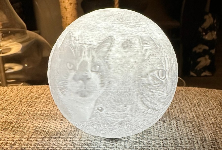 Dead pet cat. Deceased cat poems. Pets death poem.