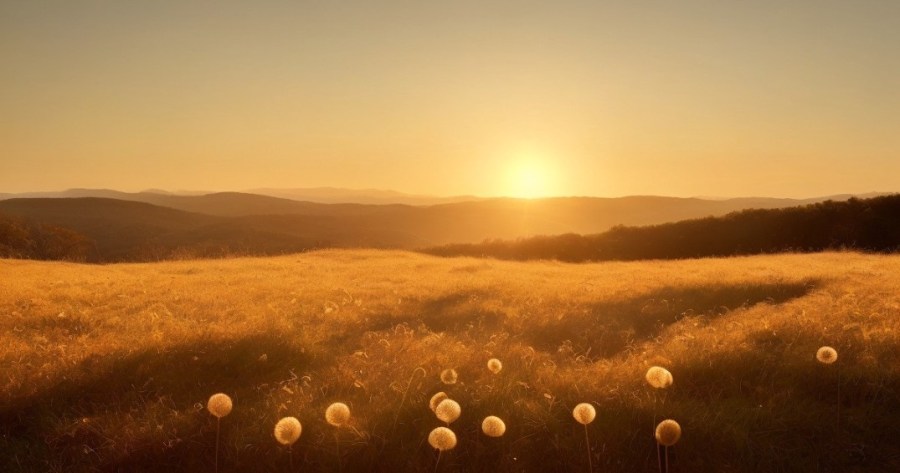 Field of wild meadow looking out on a sunset (AI Generated)